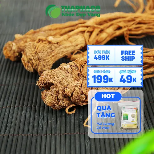 Đương quy đã qua sơ chế và thái lát sẵn tiện lợi