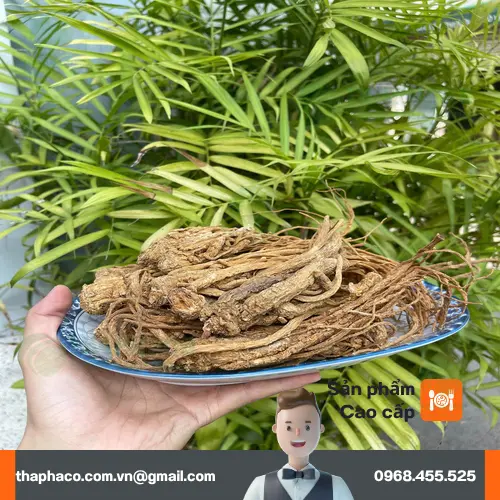 Quy trình đóng gói đương quy tại THAPHACO đảm bảo vệ sinh, chất lượng