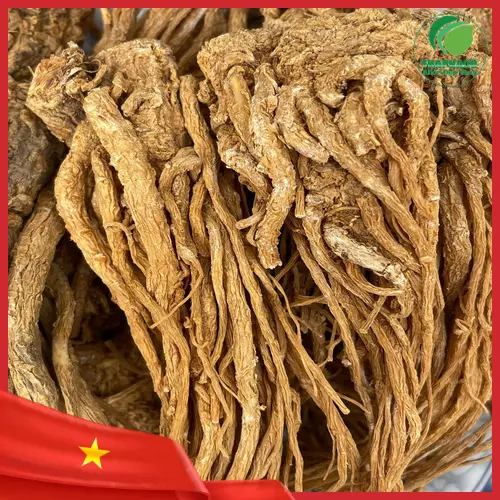 Dược Liệu Sỉ THAPHACO - Địa chỉ cung cấp đương quy uy tín tại TP.HCM