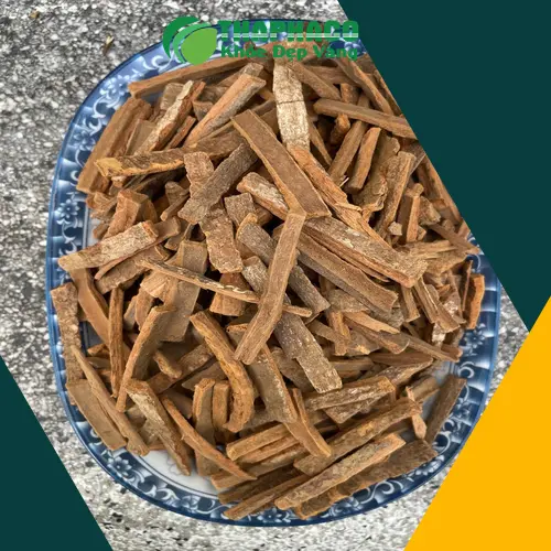 Hậu phác khô chất lượng cao từ THAPHACO, đảm bảo nguồn gốc rõ ràng