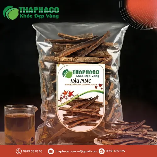 Hậu phác khô chất lượng cao tại Dược Liệu Sỉ THAPHACO với giá ưu đãi