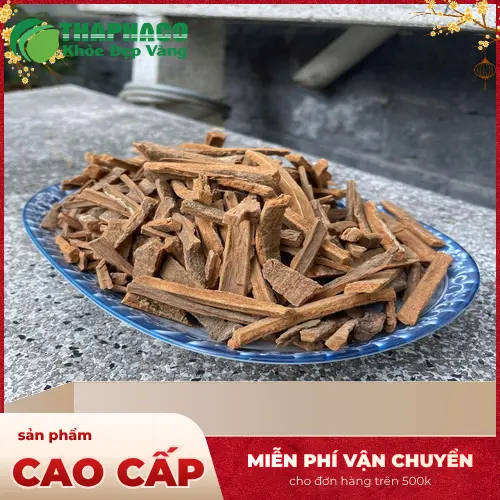 Quy trình chế biến Hậu Phác Khô THAPHACO đạt chuẩn