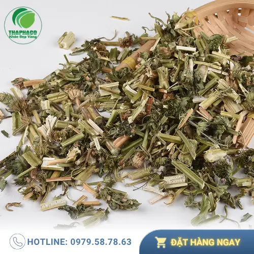 Hình ảnh ích mẫu sấy khô chất lượng cao