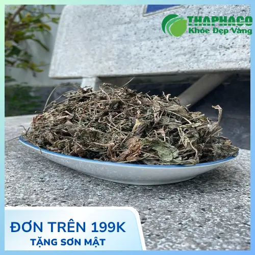 Hình ảnh sản phẩm mã đề khô đã được đóng gói cẩn thận của Dược Liệu Sỉ THAPHACO, sẵn sàng cho việc mua bán số lượng lớn.