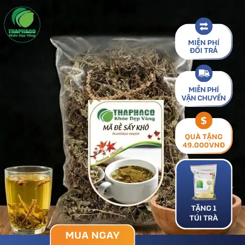 Mã đề sấy khô THAPHACO sẵn sàng phục vụ nhu cầu khách hàng