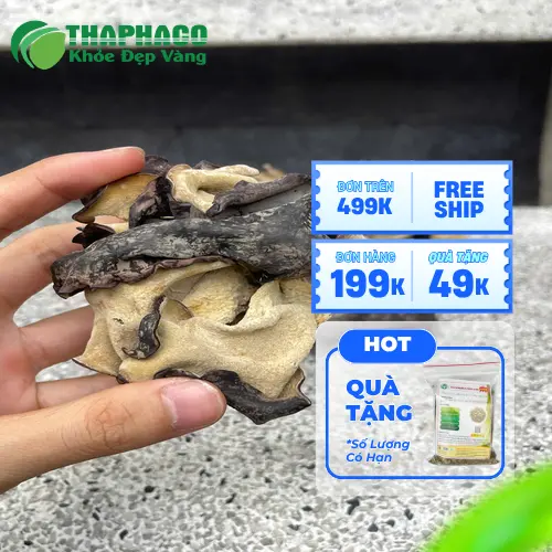 Hình ảnh mộc nhĩ khô chất lượng tốt sau khi sơ chế tại THAPHACO