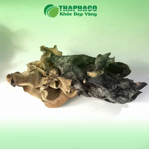Đặc điểm mộc nhĩ sấy khô THAPHACO: sạch, giòn, dai