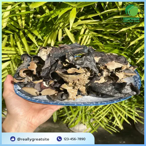 Các món ăn chế biến từ mộc nhĩ