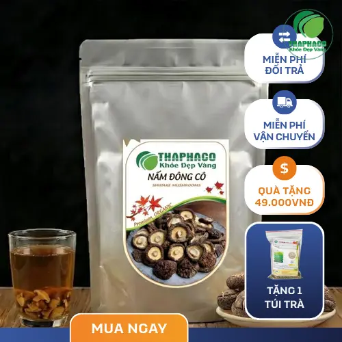Nấm đông cô tươi được trồng và thu hoạch