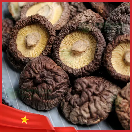 Thành phần dinh dưỡng nấm đông cô sấy