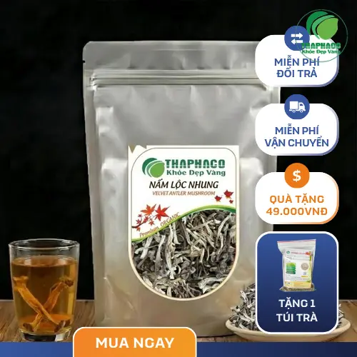 Nấm lộc nhung khô, đối tác sỉ