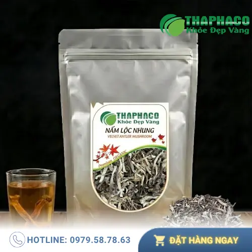 Nấm Lộc Nhung tươi ngon