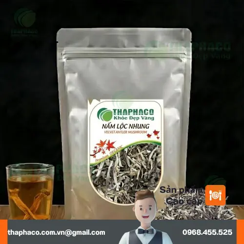Nấm lộc nhung khô là gì và lợi ích
