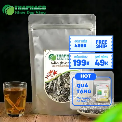 Nấm lộc nhung tươi dùng cho món chay