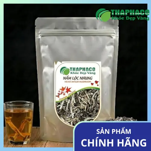 Nấm lộc nhung có hình dáng đặc trưng