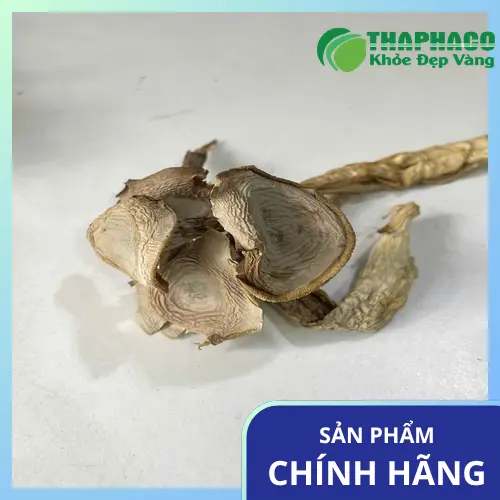 Sơ chế nấm lộc nhung khô đúng cách