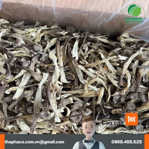 Công dụng của nấm lộc nhung