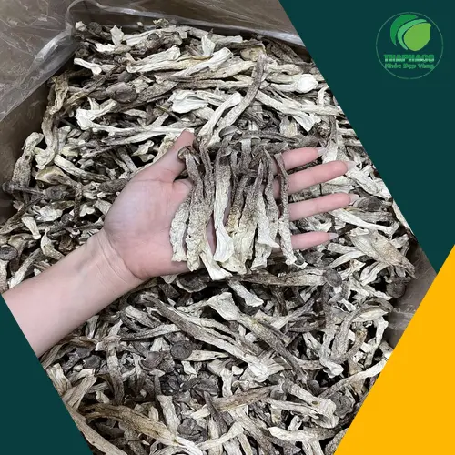 Lợi ích dinh dưỡng của Nấm Lộc Nhung cho người ăn chay
