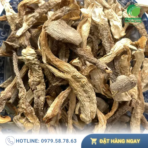 Phân biệt nấm lộc nhung thật và giả