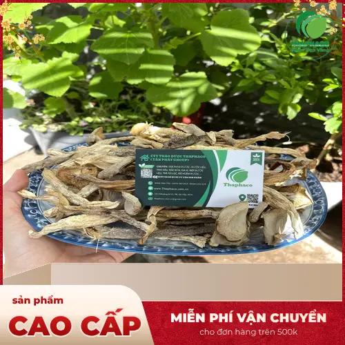 Sơ chế nấm lộc nhung khô đúng cách