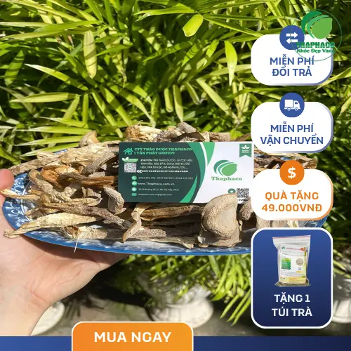 Giá trị dinh dưỡng của nấm lộc nhung