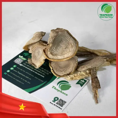 Công dụng nấm lộc nhung khô