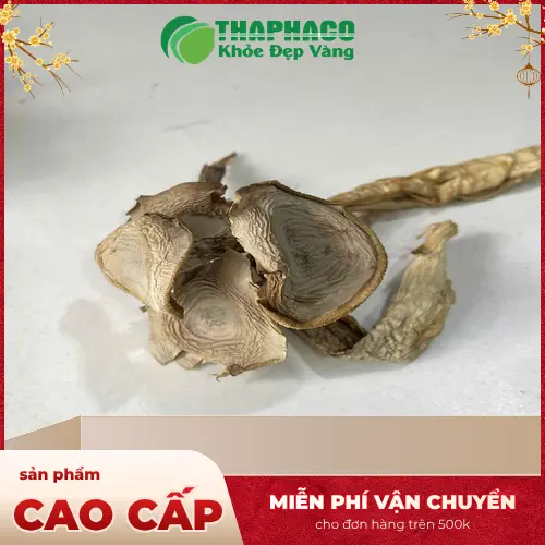 Kiểm tra độ khô của nấm lộc nhung khô