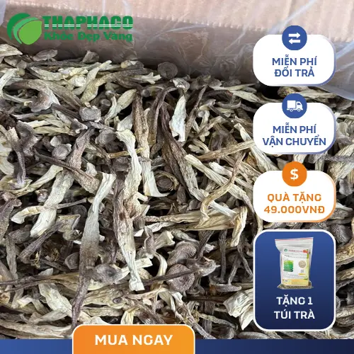 Các món chay ngon từ Nấm Lộc Nhung