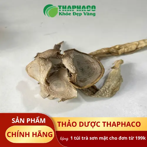 Các món ăn ngon từ nấm lộc nhung