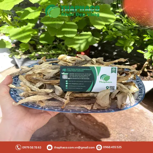 Các cách dùng nấm lộc nhung phổ biến