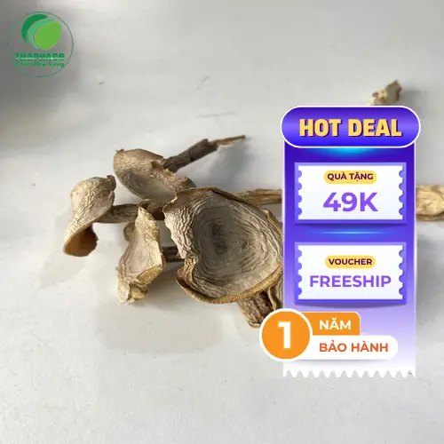 Mua nấm lộc nhung khô chất lượng tại THAPHACO