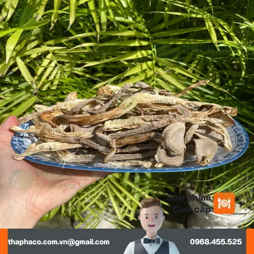 Nấm lộc nhung khô giá sỉ