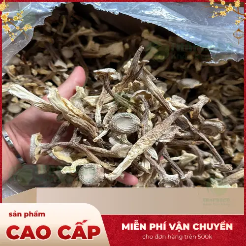 Nấm lộc nhung sấy khô THAPHACO