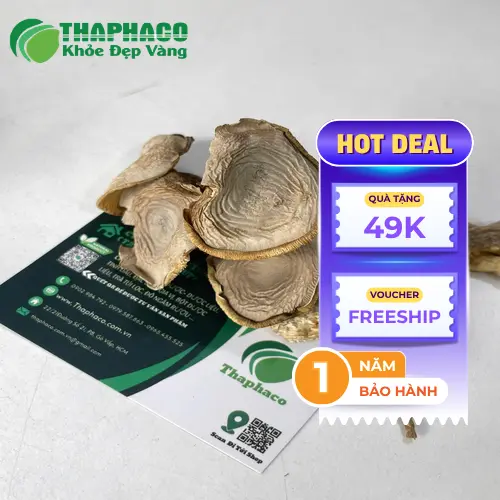 Nấm lộc nhung khô chất lượng tại THAPHACO