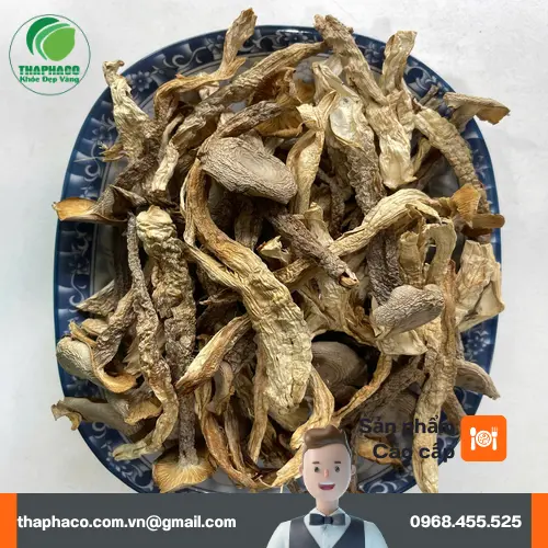 Sơ chế và bảo quản nấm lộc nhung đúng cách