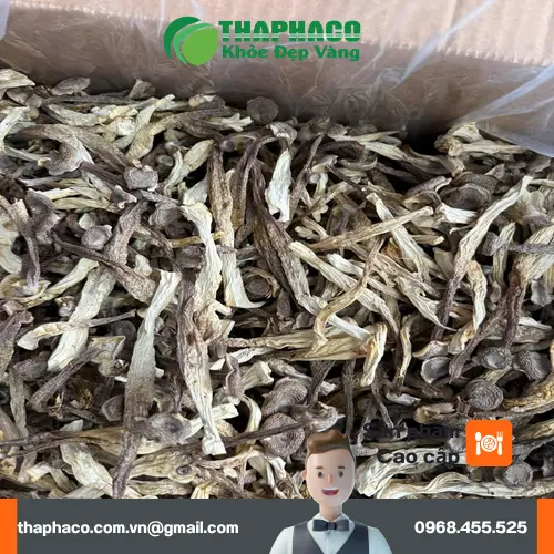 Mua nấm lộc nhung khô ở đâu
