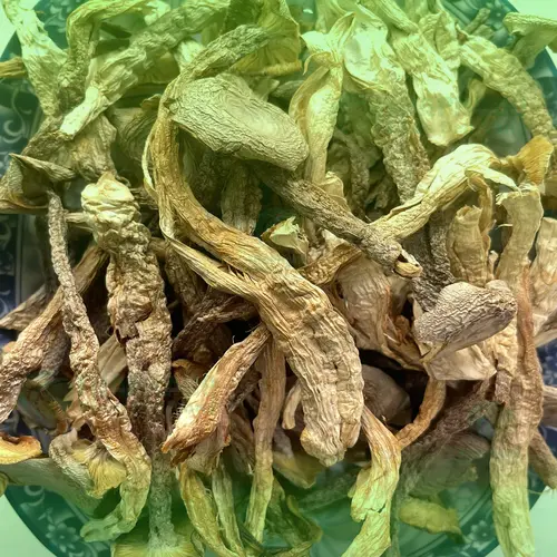Chọn mua nấm lộc nhung tại địa chỉ uy tín
