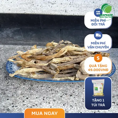 Bảo quản nấm lộc nhung khô trong hộp kín
