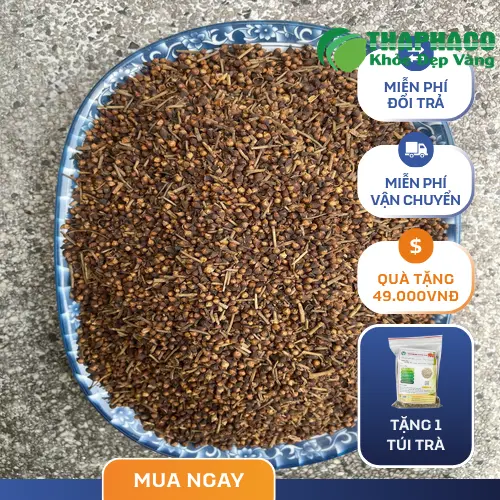 Nụ vối chất lượng từ Dược Liệu Sỉ THAPHACO
