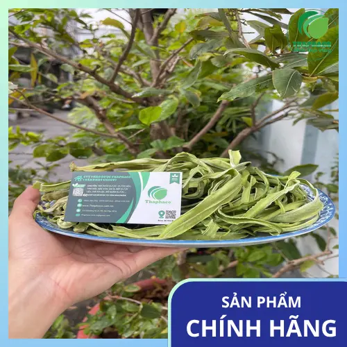Sản phẩm rau tiến vua khô tại THAPHACO