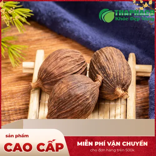 Hình ảnh thảo quả khô nguyên vỏ, dược liệu quý trong ẩm thực Việt