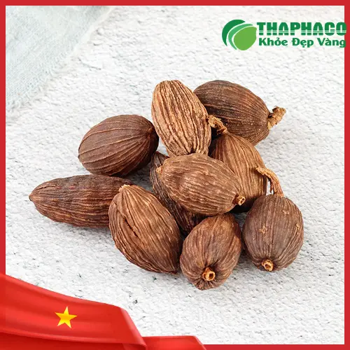 Sản phẩm thảo quả sấy khô đóng gói tại Dược Liệu Sỉ THAPHACO
