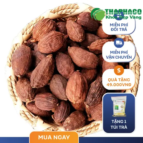Thảo quả khô tự nhiên, chất lượng cao từ Dược Liệu Sỉ THAPHACO