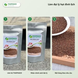 nhập hạt đình lịch làm đại lý - hạt đình lịch THAPHACO