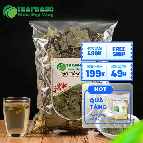 Hình ảnh cây bạch đồng nữ mọc tự nhiên với thân, lá và hoa trắng