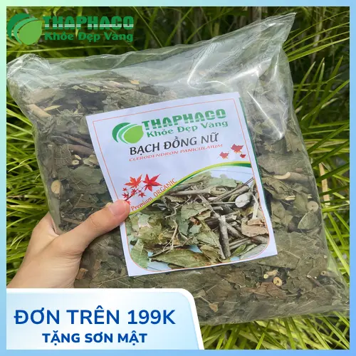 Lá và rễ bạch đồng nữ khô