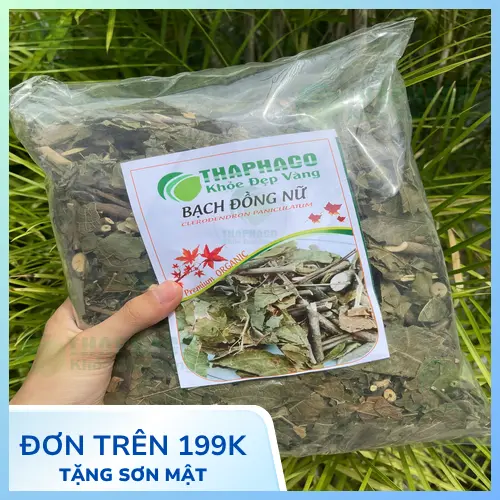 Hoa bạch đồng nữ trắng tinh khôi và lá xanh tươi