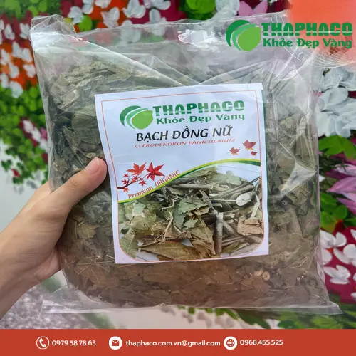 Cách dùng bạch đồng nữ an toàn và hiệu quả