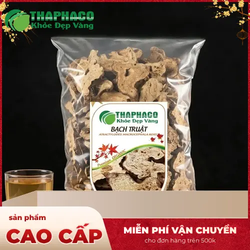 Hình ảnh củ Bạch Truật đã sơ chế
