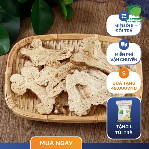 Bạch Truật hỗ trợ kiện tỳ ích khí